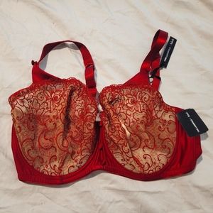 Karl Lagerfeld x Aubade bra